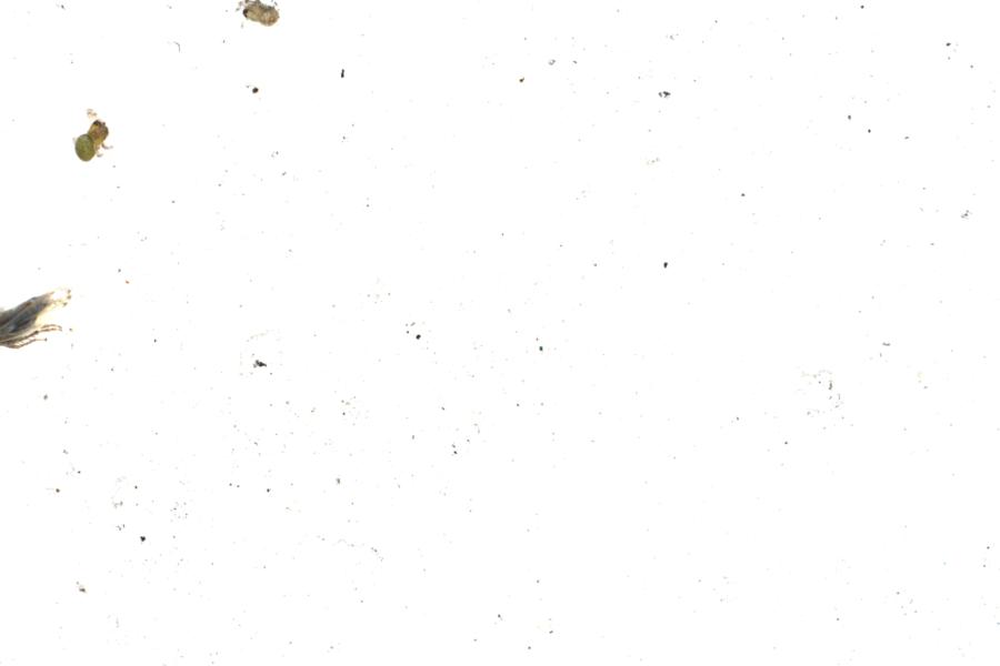 Image 32